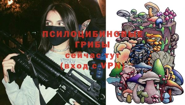 герыч Туринск