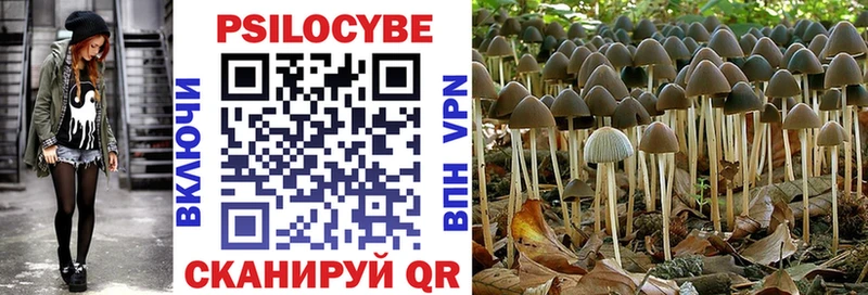 ОМГ ОМГ вход  Вельск  Галлюциногенные грибы GOLDEN TEACHER 