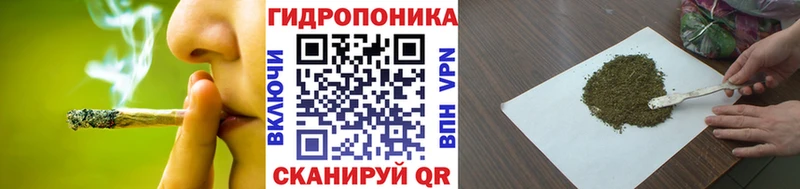Бошки Шишки LSD WEED  магазин продажи   ОМГ ОМГ как войти  Вельск 